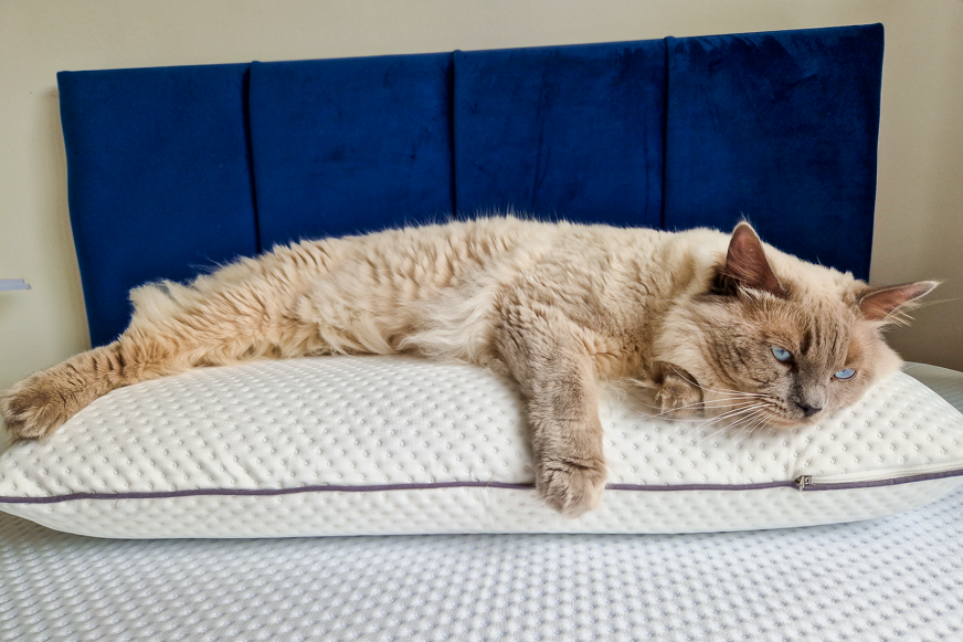 test oreiller emma original